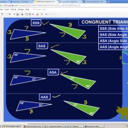 Geometry support unit 2 triangle congruence