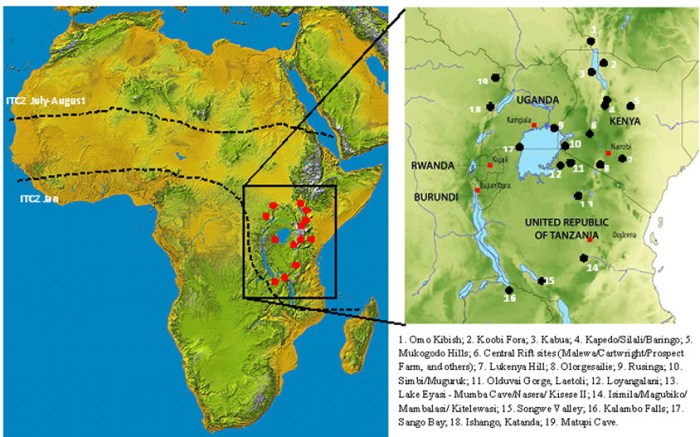 Homo africa erectus sapiens migration origin humans choose board african human