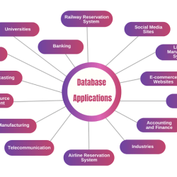 A dbms uses the data dictionary to perform validation checks.