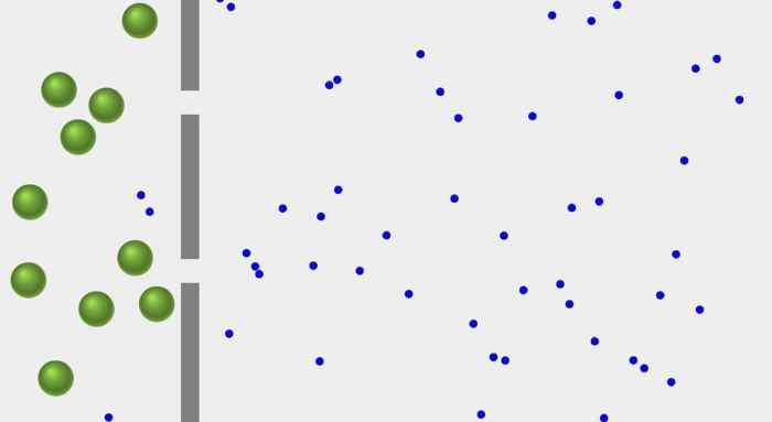 Diffusion across a semipermeable membrane lab