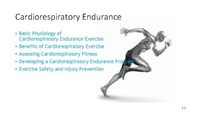 Endurance cardiorespiratory cardio respiratory crossfit cardiovascular skills