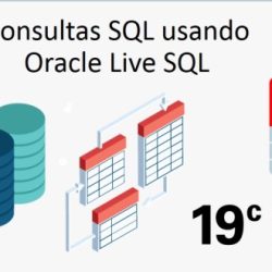 Which workload cannot be run on oracle database 19c