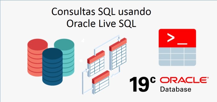 Which workload cannot be run on oracle database 19c